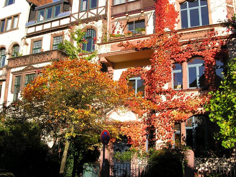 Herbst in Linden.JPG